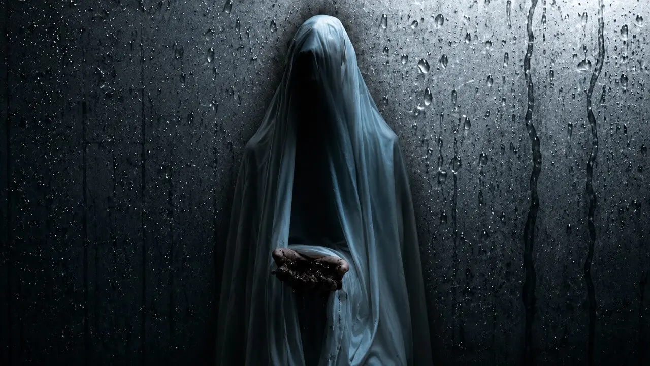 Visage