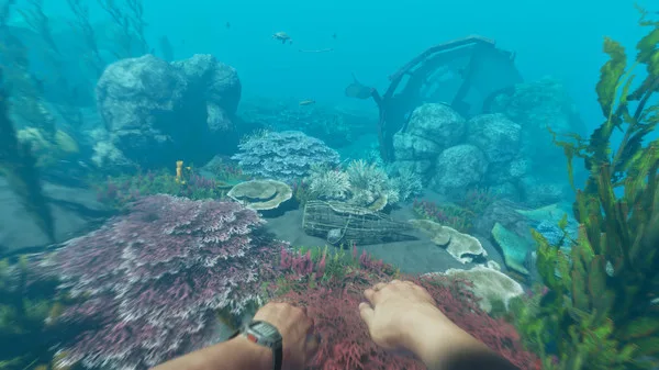 Stranded Deep Free Download | AnkerGames
