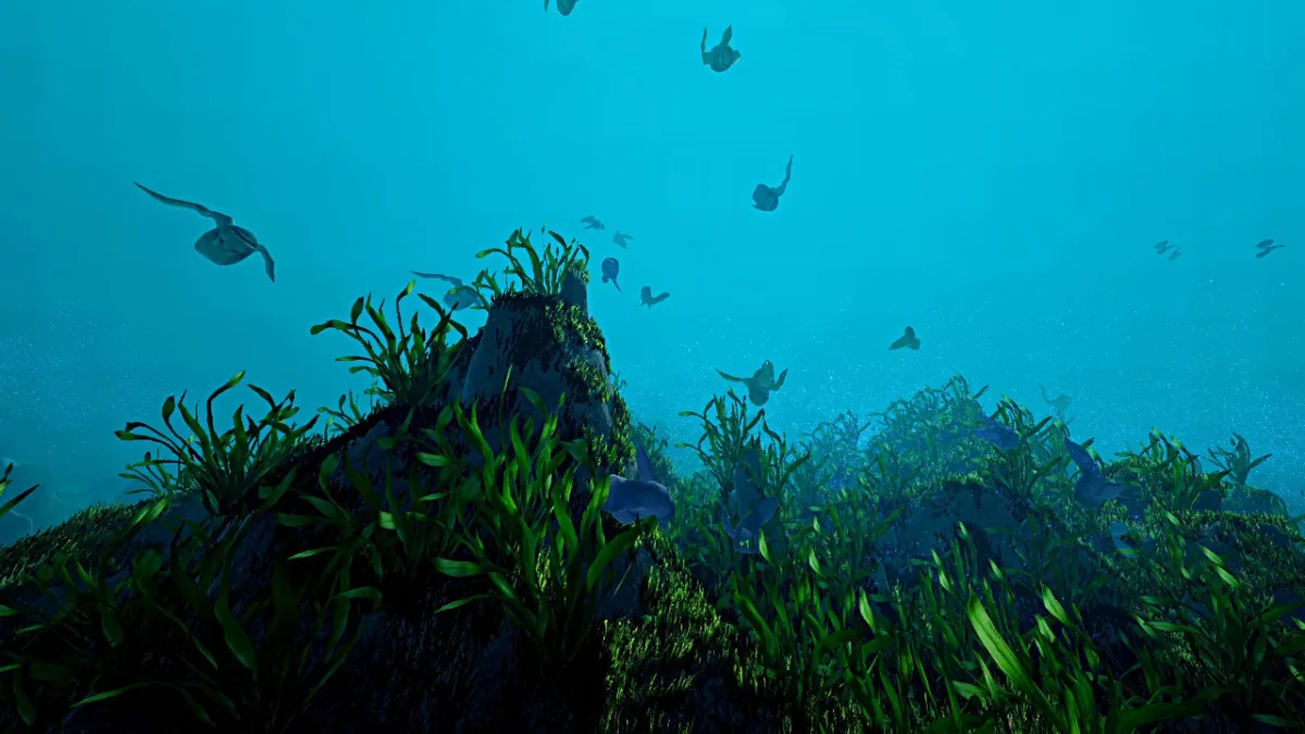 Ecosystem